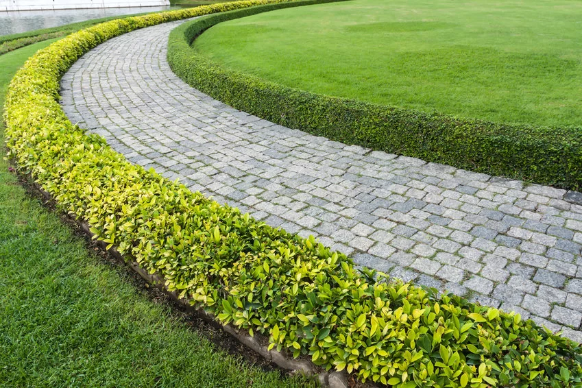 4. Anlagga tradgard Hackar Rabatter balsta stockholm uppsala (1)