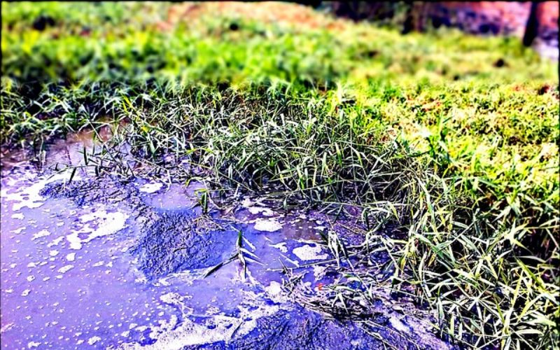 fororening i vatten 1